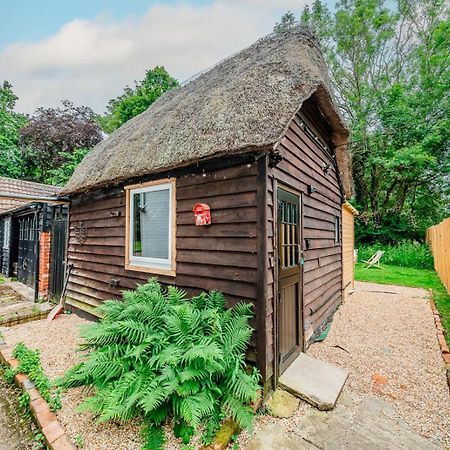 Cozy Cottage With Hot Tub! Cadnam Eksteriør billede